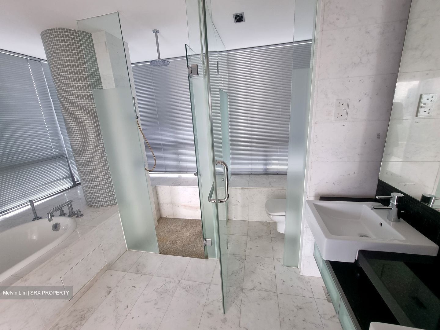 CityVista Residences (D9), Condominium #463604551